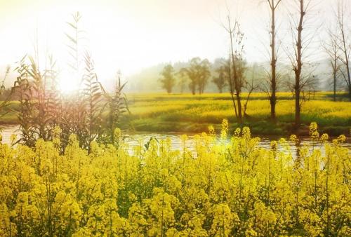 如何写出陪伴孩子的快乐
