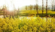 开心陪孩子一天的句子