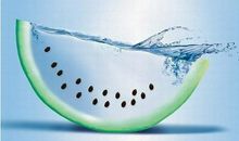 暑假结束家长寄语