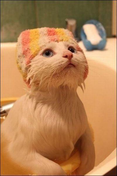 我希望每个人都喜欢