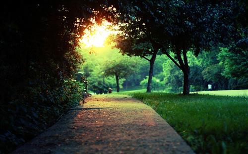 一瞬间令人羡慕的火花