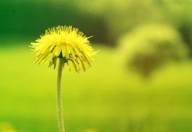 我只希望道路上有一颗心