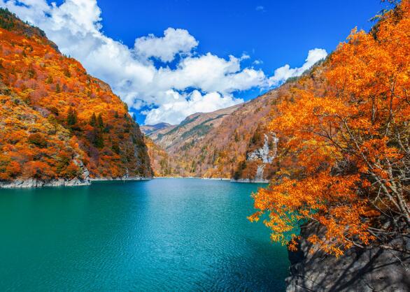 朋友经常需要我们的安慰