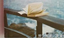 沈奇岚经典语录