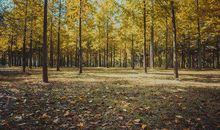 冬天发给客户的邮件问候短信