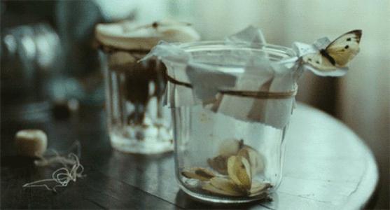 范夫迷失在当下