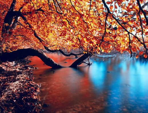 眼泪不禁掉下来