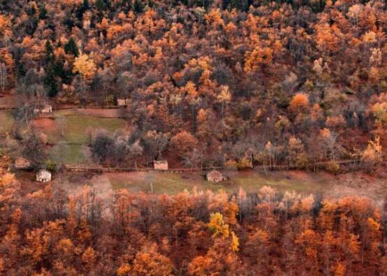 时间是一条黄金河