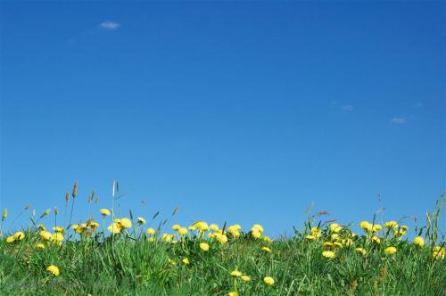  - 从“颐海杂诗”龚自珍以下是一首描写花卉的着名诗歌