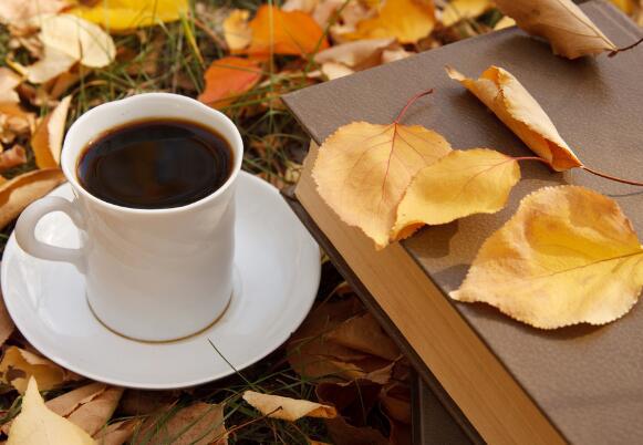 只能重温您的旧情书