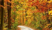 友情永存的句子