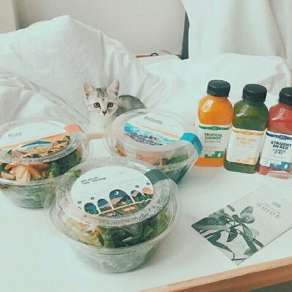 我们总是迷失自己