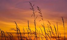 流着眼泪开心大笑的句子