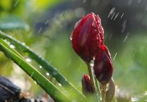 这使我感到失望