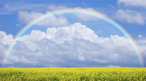 有些经历是痛苦的