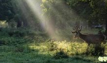 《羊皮卷》正能量句子 《羊皮卷》励志名言语录