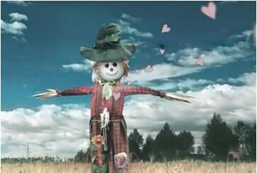    关于生命的句子感知生活  1