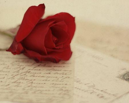 人们最担心的是对一个人失望后的悲伤