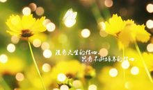 生活语录致自己人生感悟句子