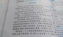 描写草的名句
