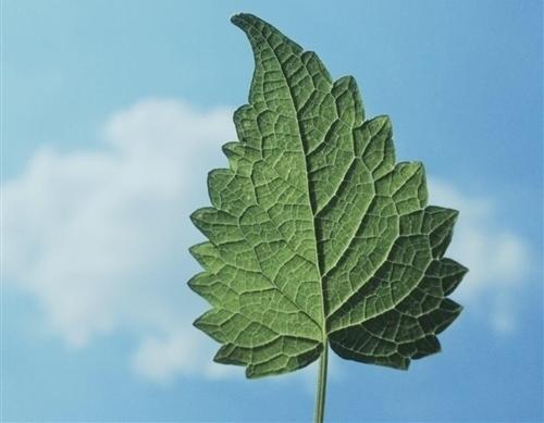 希望每个人每天都能度过美好时光