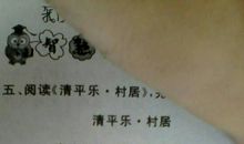 描写冬雨的优美段落