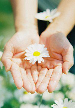 编辑编了一些描述家庭关系的句子