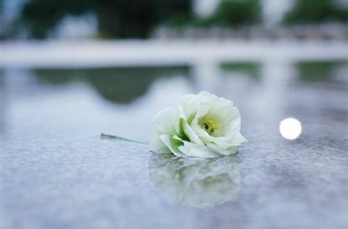 以下是关于唐门的令人心碎的老式句子