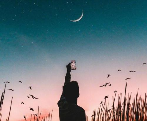 燕雀只能穿越森林