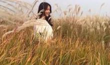 希望每天开心的句子