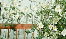 面对疫情坚守岗位的心情说说