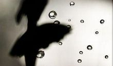 心痛心碎流泪的句子