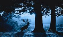 亲情陪伴暖心的句子