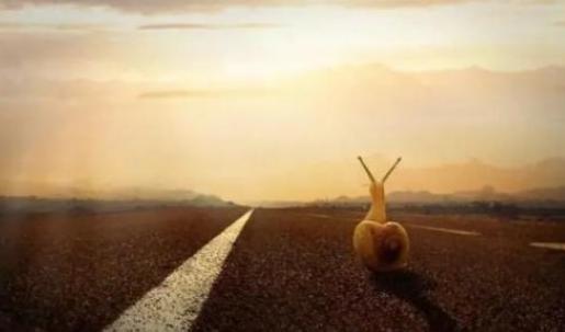 也给人带来失望