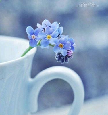 像一个人没有错