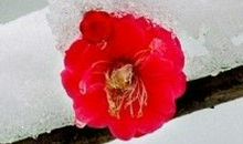 短暂心碎的英文句子