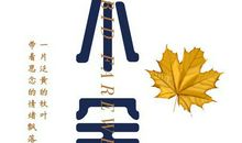 开心与不舍的句子