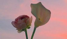 女生对男生很失望的句子