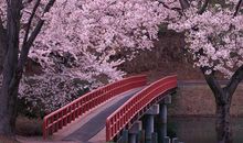 你描写开心的句子有哪些