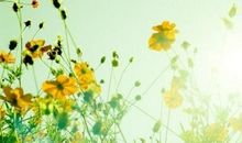 盗墓笔记唯美语录精选