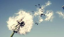 古典伤感唯美的句子大全