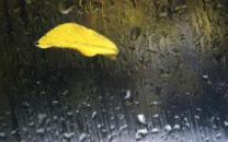 我对你并不失望