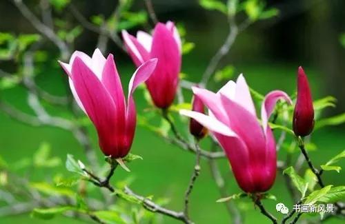 饶春正支撑腰部说服花饼