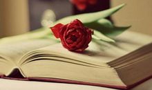 泪动的表白句子