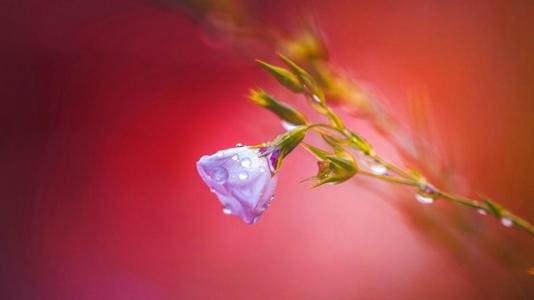 生活不是一帆风顺的