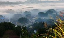 思念家乡的句子