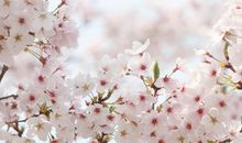 古风唯美伤感古诗词