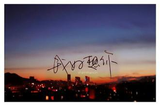    表达思想的句子  1