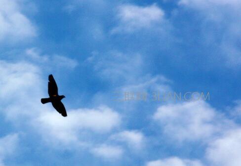 只追求做到一切