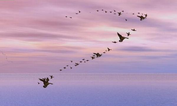 一切都追求完美